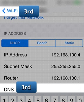 How to change DNS in iOS